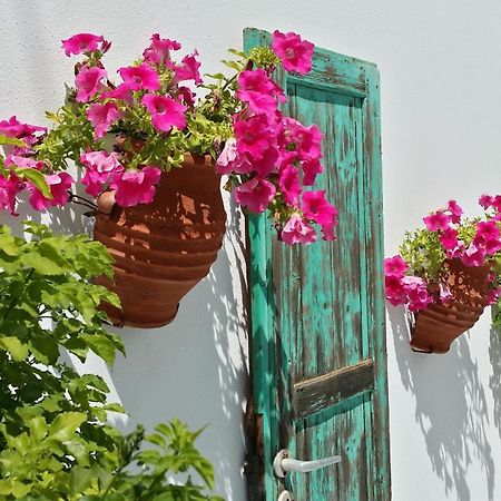 Villa Anna Maria อลิกิ ภายนอก รูปภาพ