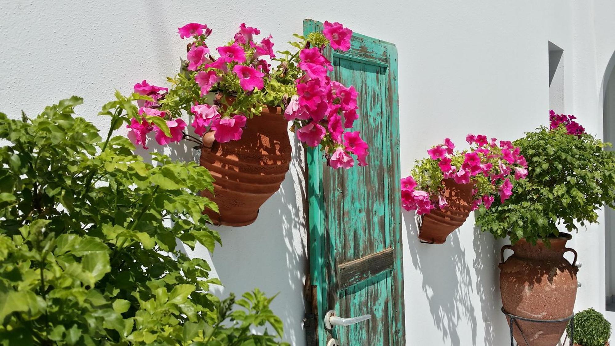 Villa Anna Maria อลิกิ ภายนอก รูปภาพ